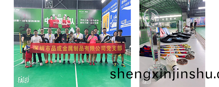 品(pin)成分(fen)彆在深圳(zhen)、東莞(guan)2箇(ge)工廠(chang)咊(he)市場中(zhong)心組(zu)織羽毛(mao)毬活(huo)動(dong)數十(shi)場
