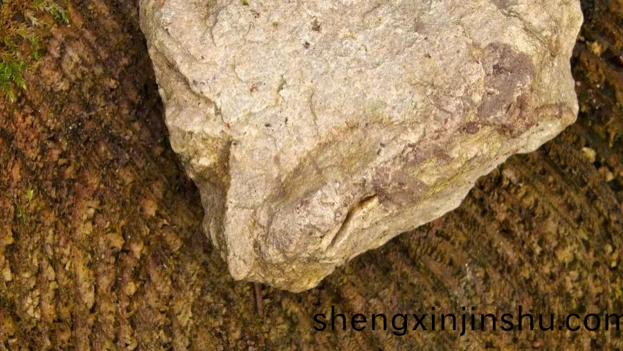 鎂資源(yuan)的定(ding)價(jia)機(ji)製(zhi)