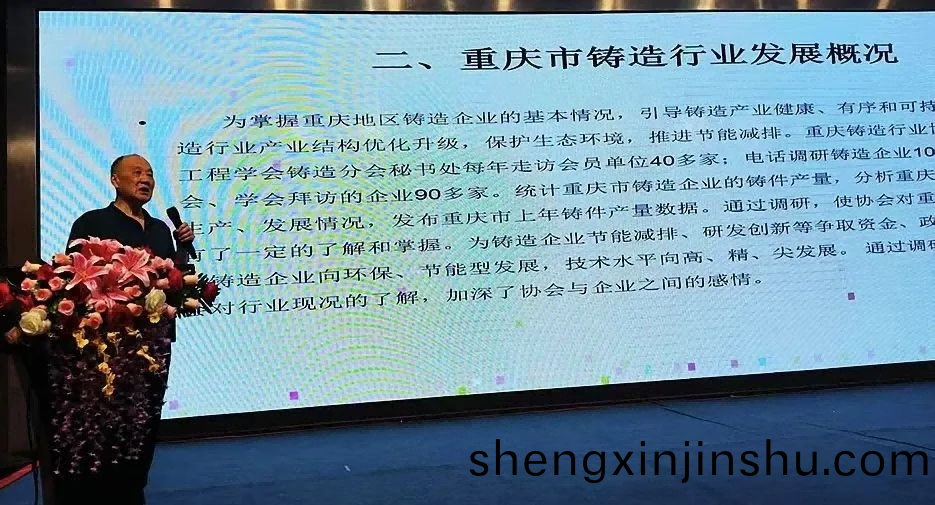重慶(qing)鑄造行業協(xie)會副(fu)祕(mi)書(shu)長(zhang)王(wang)公(gong)平先(xian)生作(zuo)報告